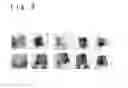 Fig. 11 - Tenprint card input device, tenprint card input method and storage medium