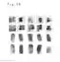 Fig. 18 - Tenprint card input device, tenprint card input method and storage medium