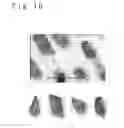 Fig. 20 - Tenprint card input device, tenprint card input method and storage medium