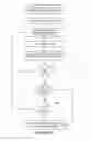 Fig. 07 - METHOD OF AND SYSTEM FOR ENROLLING AND MATCHING BIOMETRIC DATA