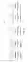Fig. 05 - Document authentication using extracted digital fingerprints