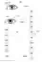 Fig. 03 - Decision device provided to decide whether an eye is real or false