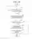 Fig. 11 - IMAGE FORMING APPARATUS, IMAGE FORMING SYSTEM AND IMAGE FORMING METHOD