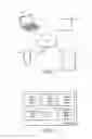 Fig. 02 - SYSTEM AND METHOD OF INCORPORATING VISUAL DATA INTO ELECTRONIC VERBAL BROADCAST