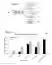 Fig. 06 - System for determining local intent in a search query