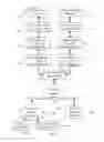 Fig. 06 - Anonymous digital identification