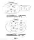 Fig. 03 - Performance Optimization Utilizing Pre-Analysis of Condition Records
