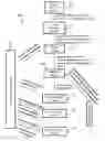 Fig. 01 - MULTIPLE-REFERENCE BASED SYSTEM AND METHOD FOR ORDERING EYEGLASSES