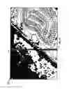Fig. 12 - System for detecting image abnormalities