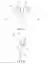 Fig. 24 - Method and apparatus for determining region of interest of image