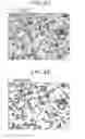 Fig. 11 - Image processing device and storage medium for image processing
