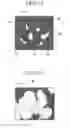 Fig. 16 - Image processing device and storage medium for image processing