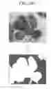 Fig. 29 - Image processing device and storage medium for image processing