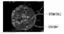 Fig. 01 - Cell image evaluation device, method, and program