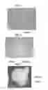 Fig. 06 - Cell image evaluation device, method, and program