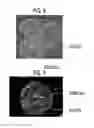 Fig. 07 - Cell image evaluation device, method, and program