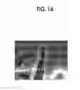 Fig. 11 - Cell image evaluation device, method, and program