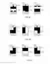 Fig. 04 - Three-Dimensional Shape Capture Using Non-Collinear Display Illumination