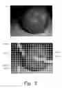 Fig. 04 - Geodesic saliency using background priors