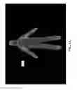 Fig. 10 - Closed-form 3D model generation of non-rigid complex objects from incomplete and noisy scans