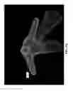 Fig. 12 - Closed-form 3D model generation of non-rigid complex objects from incomplete and noisy scans