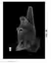 Fig. 13 - Closed-form 3D model generation of non-rigid complex objects from incomplete and noisy scans
