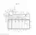 Fig. 18 - Financial device