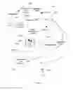 Fig. 17 - Integrated gambling process for games with explicit random events