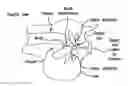Fig. 01 - Methods and devices for intraoral tactile feedback