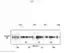 Fig. 06 - Method and apparatus for managing audio signals