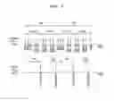 Fig. 08 - Memory device for controlling refresh operation by using cell characteristic flags