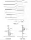 Fig. 04 - Flash memory and programming method thereof