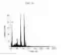 Fig. 13 - Electrically conductive thin films