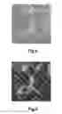 Fig. 05 - R-T-B based sintered magnet and motor