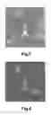 Fig. 06 - R-T-B based sintered magnet and motor