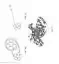 Fig. 06 - HIGHLY CONDUCTIVE NANOCOMPOSITE, BIOLOGICAL AND SMALL MOLECULE MATERIALS FOR ENHANCED RESIN CONDUCTIVITY