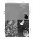 Fig. 11 - HIGHLY CONDUCTIVE NANOCOMPOSITE, BIOLOGICAL AND SMALL MOLECULE MATERIALS FOR ENHANCED RESIN CONDUCTIVITY