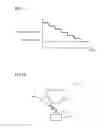 Fig. 09 - Deposition method and focused ion beam system
