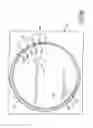 Fig. 05 - Method of installing elastomer ring in semiconductor processing equipment and guiding sheet and jig used in installing elastomer ring