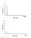 Fig. 13 - Mass spectrometer device and method using scanned phase applied potentials in ion guidance