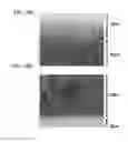 Fig. 17 - Manufacturing method of semiconductor device