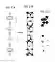 Fig. 28 - Manufacturing method of semiconductor device