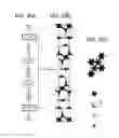 Fig. 29 - Manufacturing method of semiconductor device