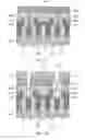 Fig. 05 - Method for forming a self-aligned contact in a damascene structure used to form a memory device