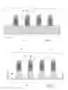 Fig. 02 - Method of forming performance optimized gate structures by silicidizing lowered source and drain regions