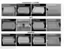Fig. 01 - Dual-side reinforcement flux for encapsulation