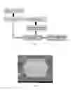 Fig. 02 - Dual-side reinforcement flux for encapsulation