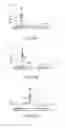 Fig. 31 - WIRE BONDING APPARATUS AND BONDING METHOD
