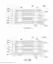 Fig. 12 - Package apparatus and manufacturing method thereof