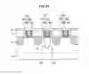 Fig. 56 - Semiconductor devices including a dummy gate structure on a fin